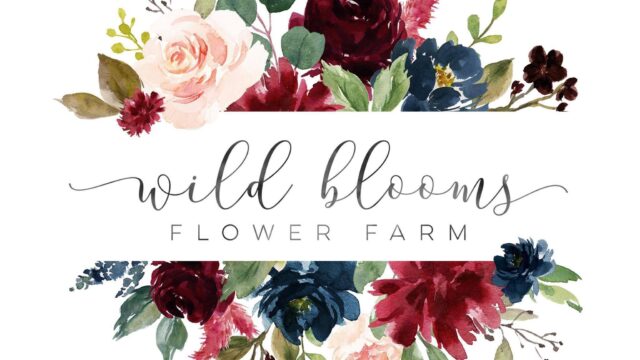 Wild Blooms Flower Farm